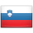 Esloveno flag