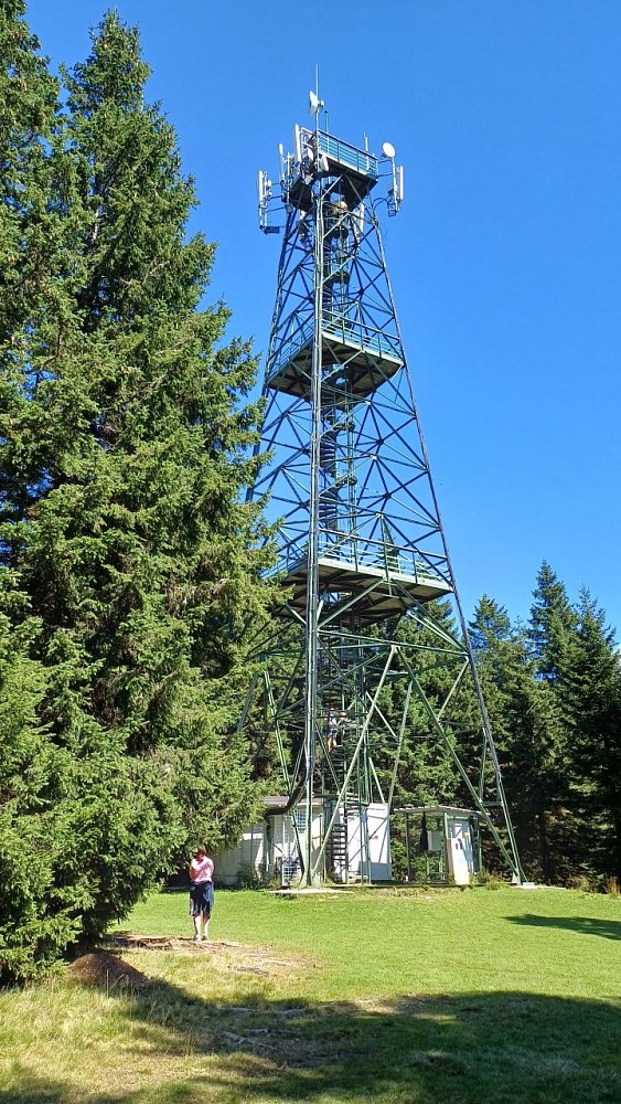 Rogla