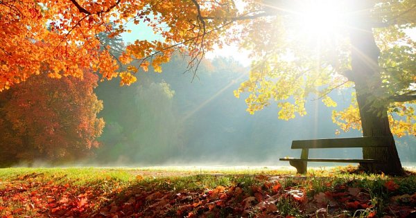 Orientación de otoño