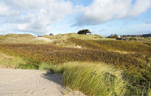 Dinamarca