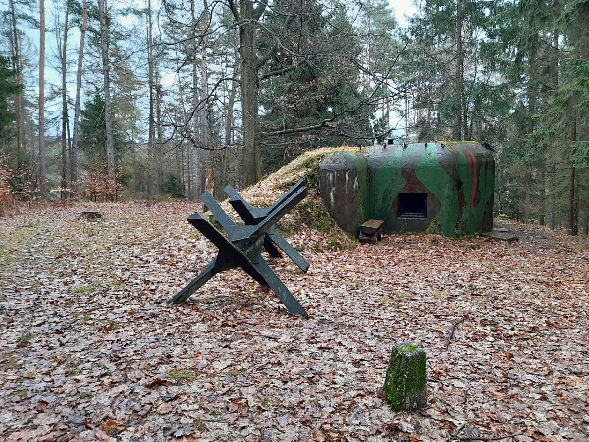 Watzelův kopec (259&nbsp;m)