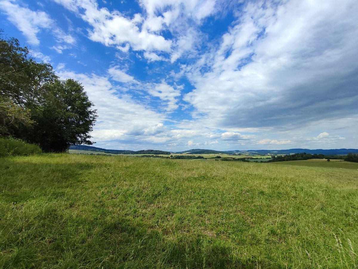 Šibeniční vrch (552&nbsp;m)