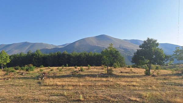 Όλυμπος