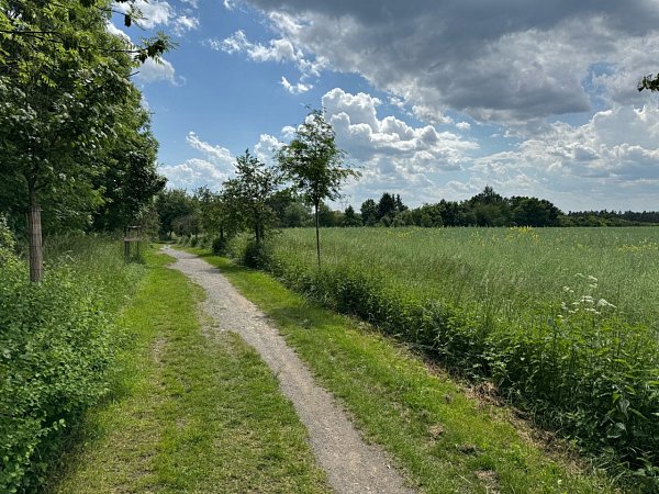 Zuzík