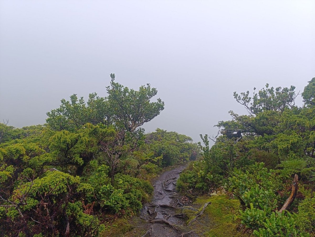 Lagoinha (787&nbsp;m)