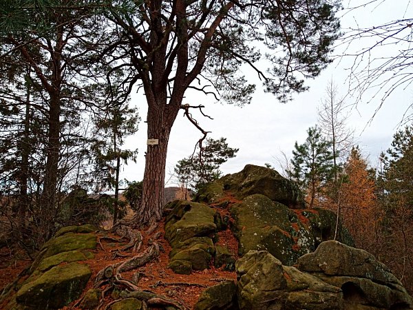 Karlova skála