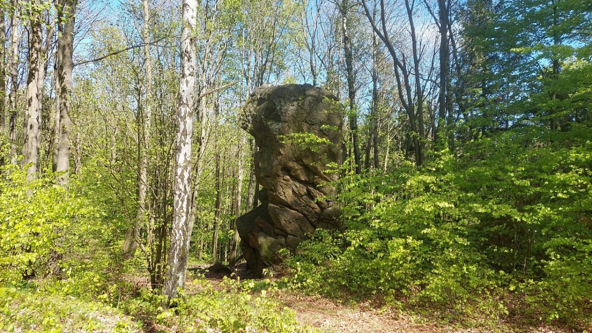 Münzberg (511&nbsp;m)