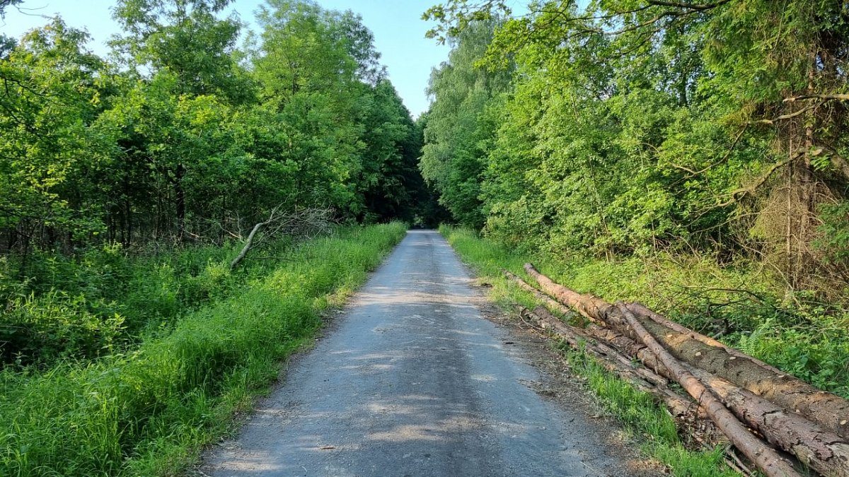 Zdeňulka (312&nbsp;m)