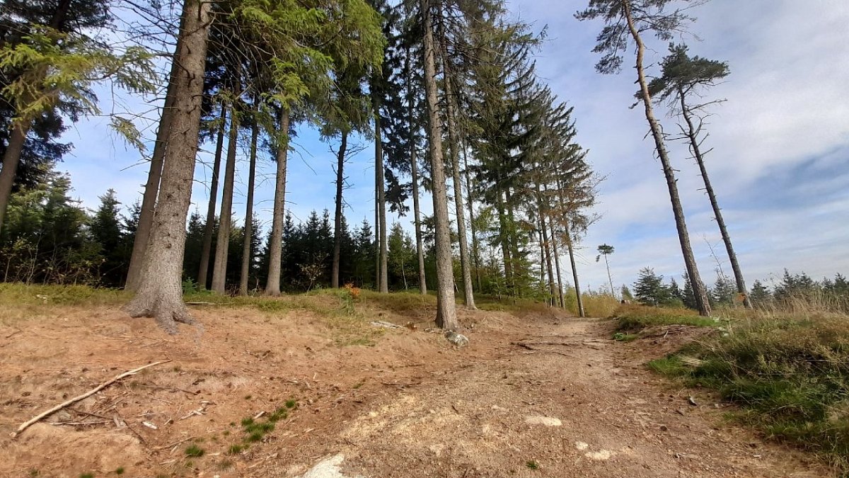 Liščí kopec (570&nbsp;m)