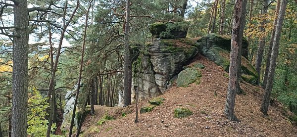 Vepřsko