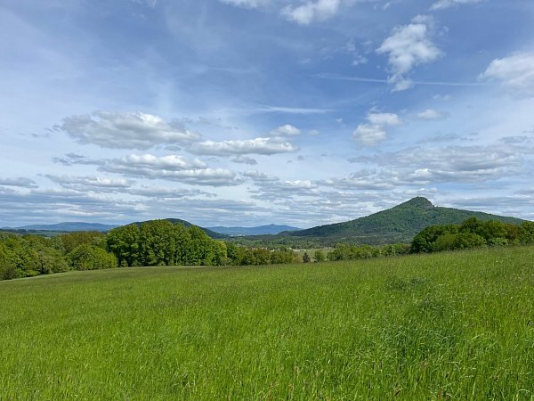 Strážný