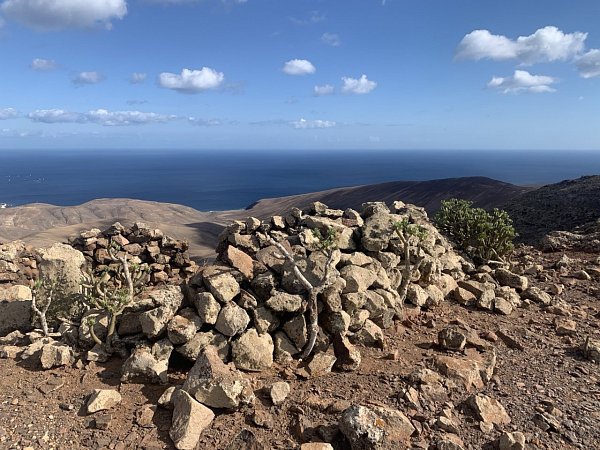 Pico de las Flores