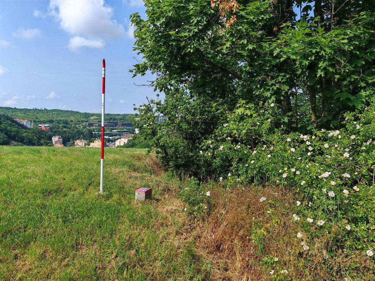 Paví vrch (281&nbsp;m)