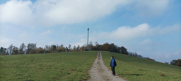 Kalamajka