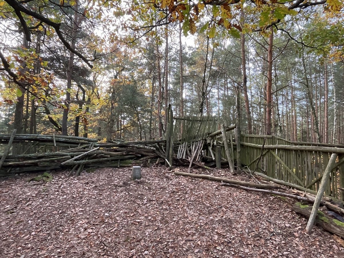 Ostrý (539&nbsp;m)