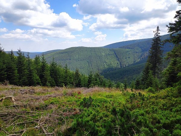 Kamzičí vrch