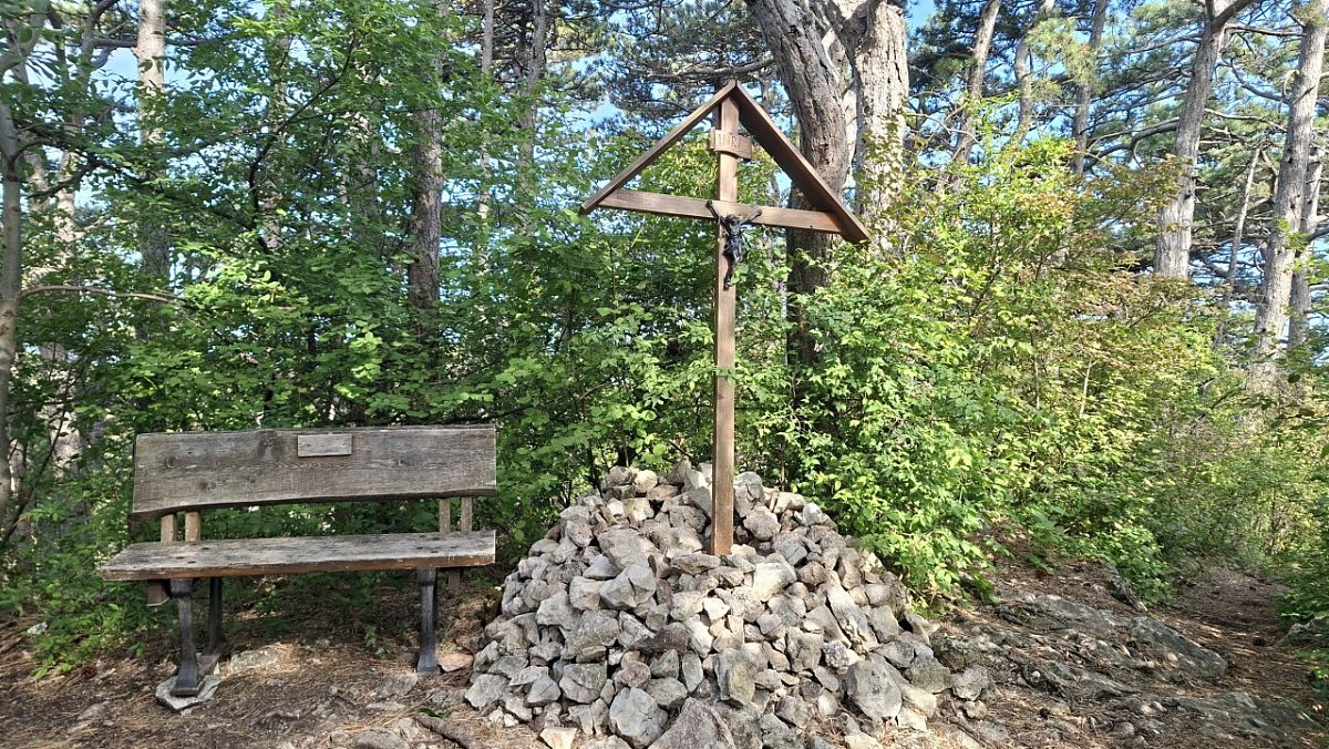 Alexandraberg (491&nbsp;m)