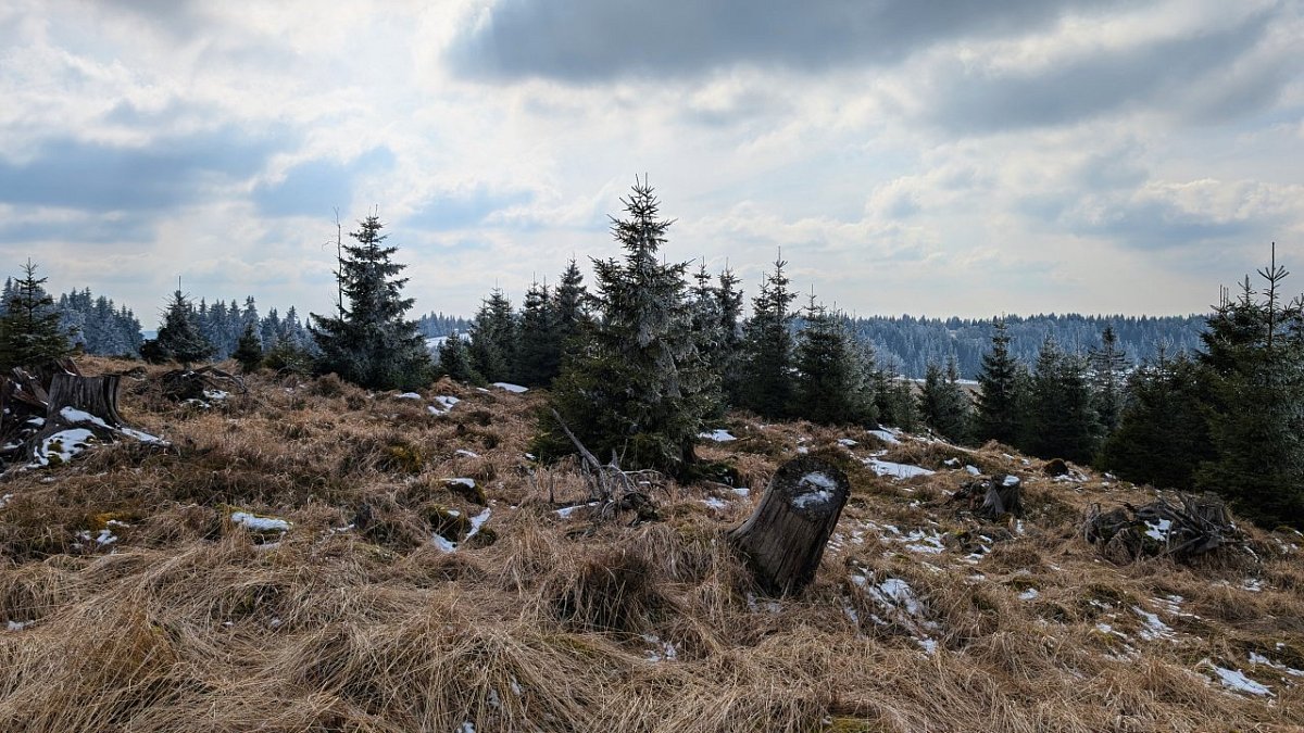 Nad Ryžovnou (1054&nbsp;m)