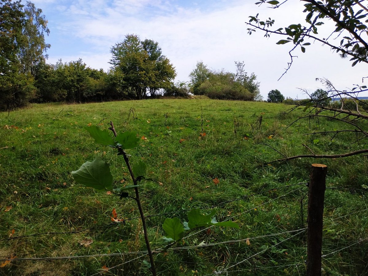 Hájek (554&nbsp;m)