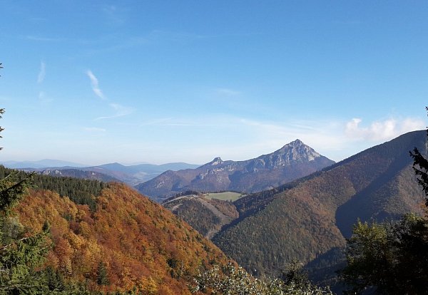 Kraviarske
