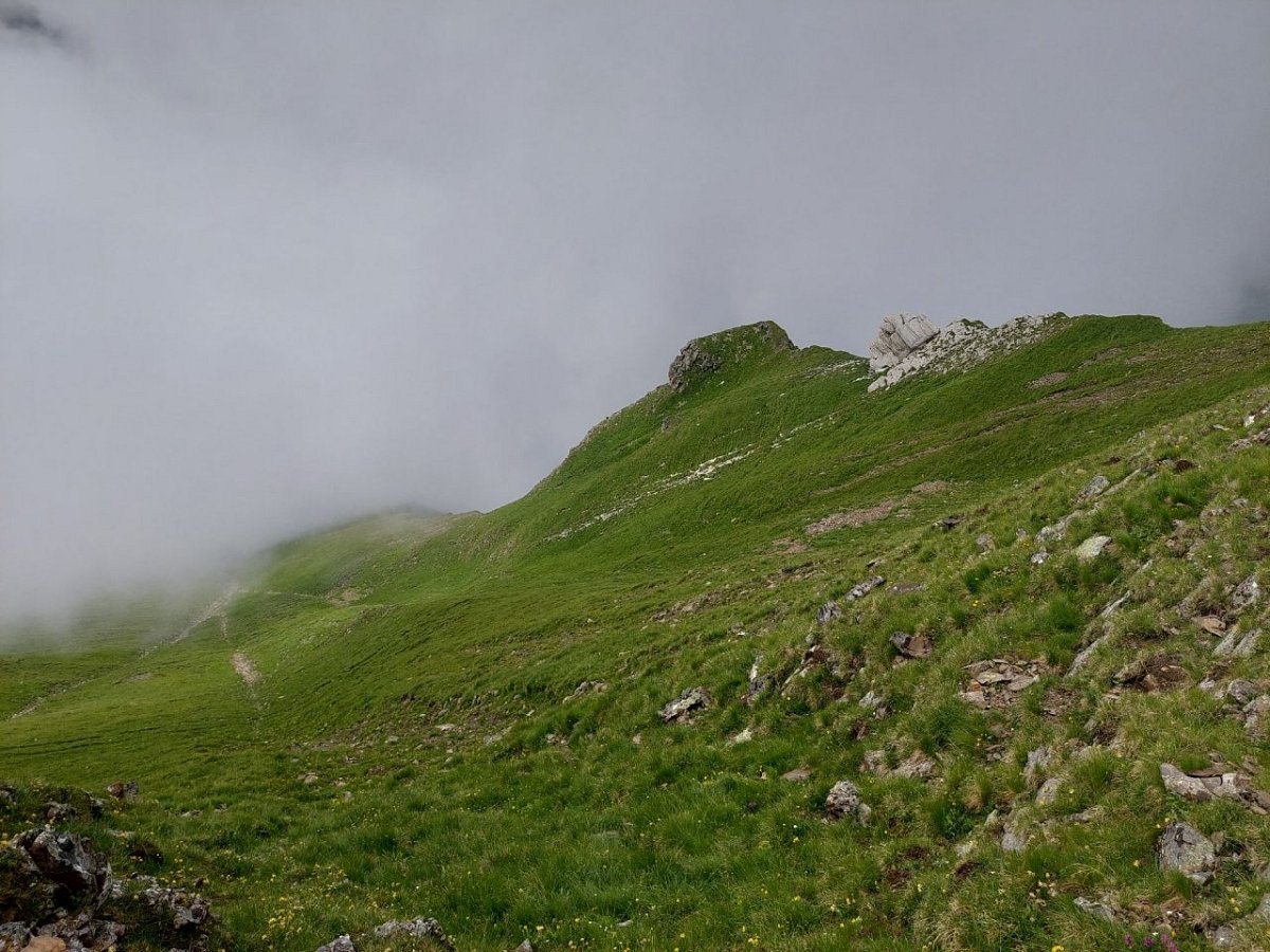Plasteikopf (2345&nbsp;m)