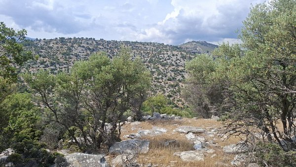 Καλύβαι Ποτού