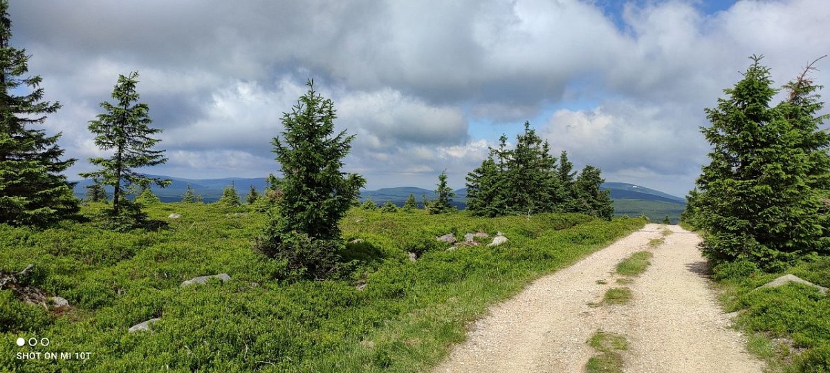 Sine Skałki (1121&nbsp;m)