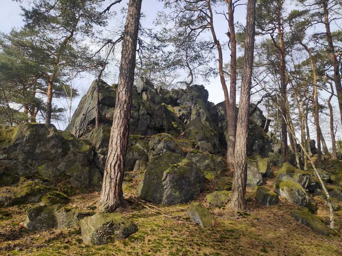 Matějkovna (515&nbsp;m)