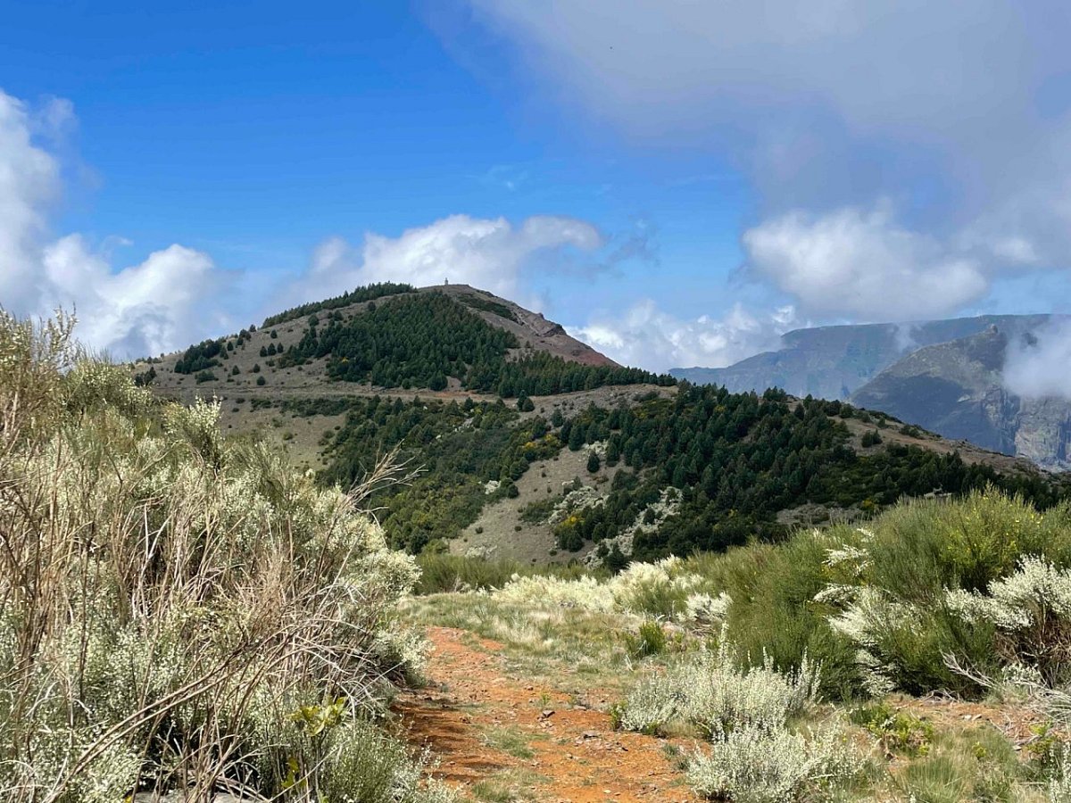 Pico do Cedro (1762 m)