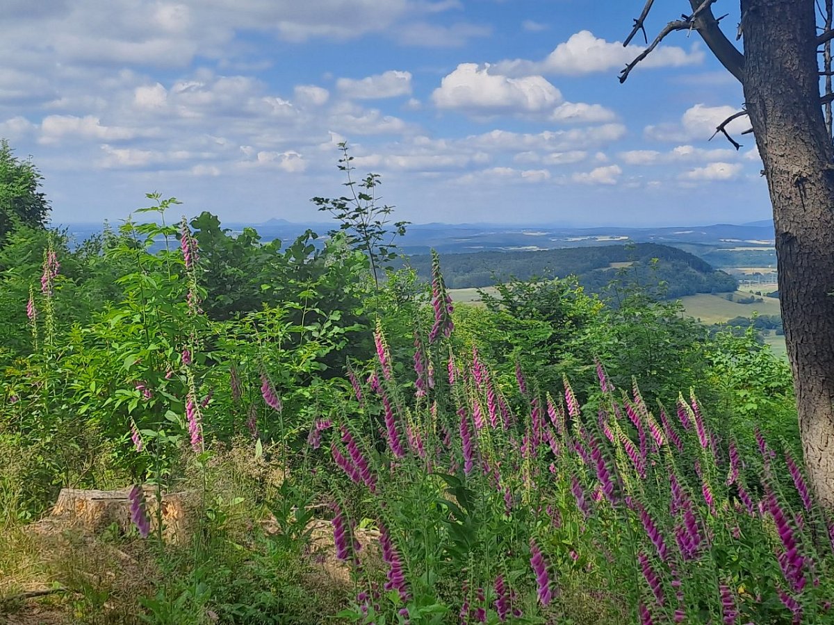 Mandlová hora (615&nbsp;m)
