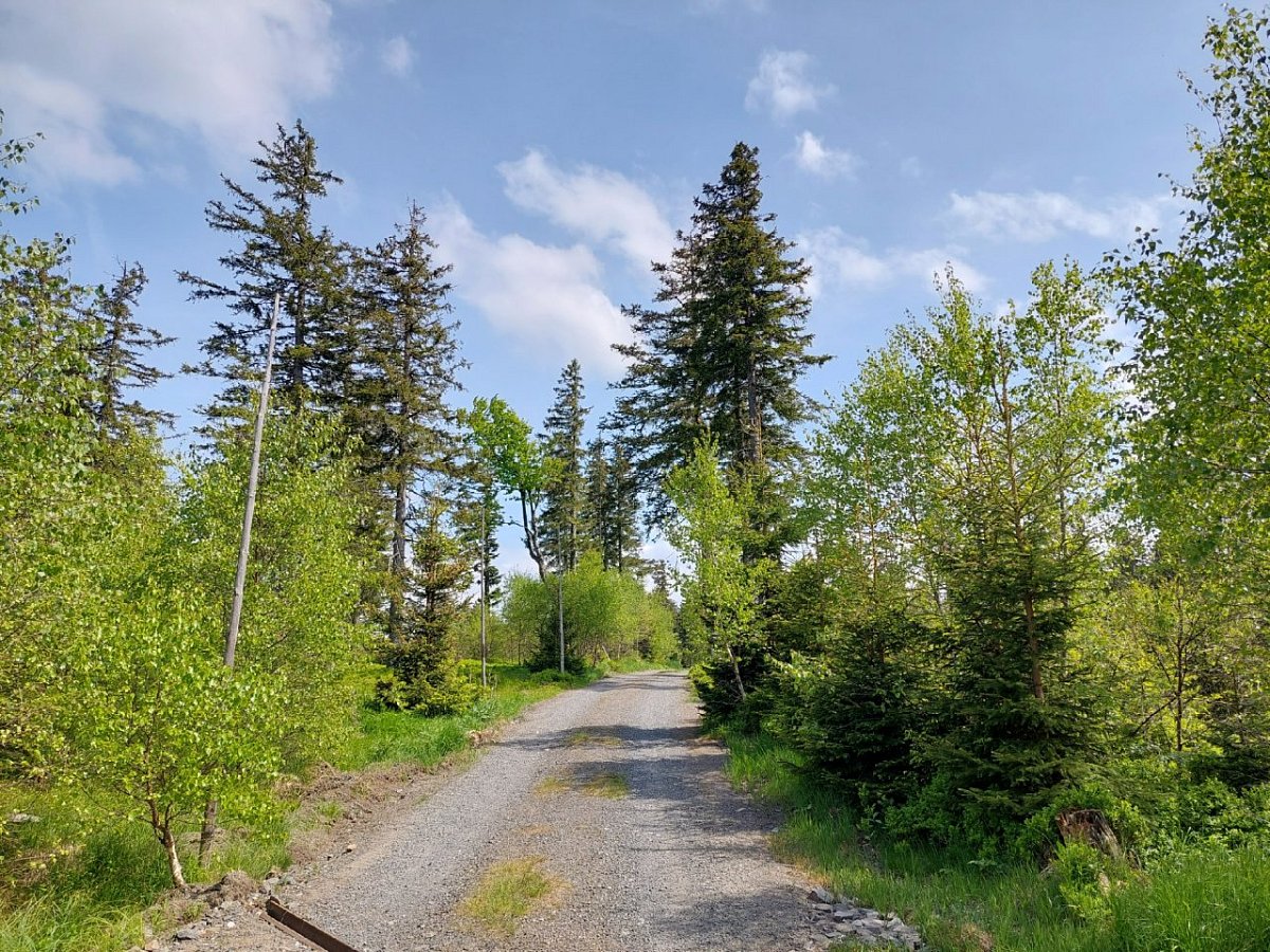 Na Sjezdovce (1144&nbsp;m)
