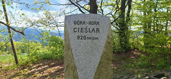 Česlar / Cieślar
