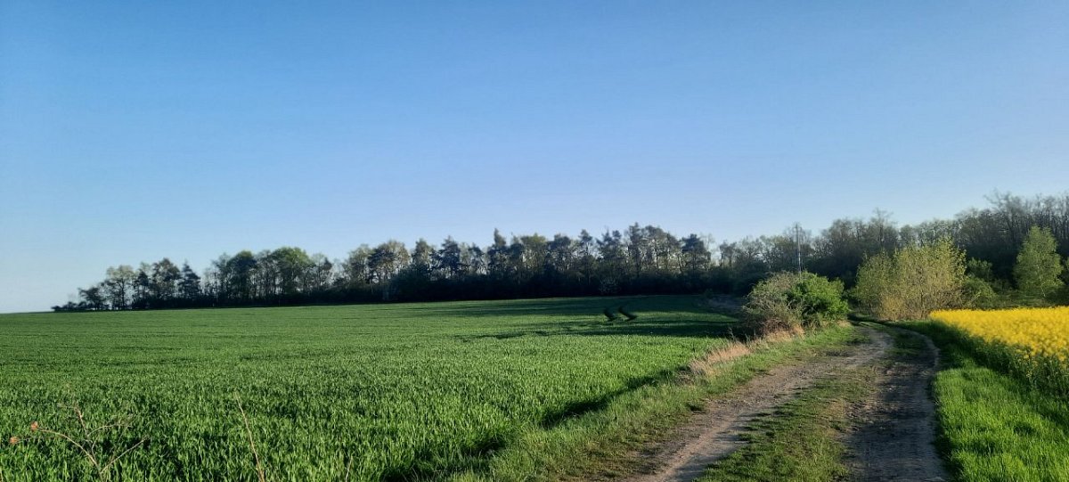 Na Bezdězi (214&nbsp;m)