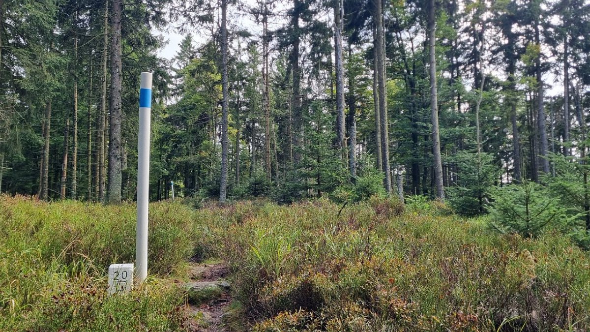 Hole / Jägerhübel (1100&nbsp;m)