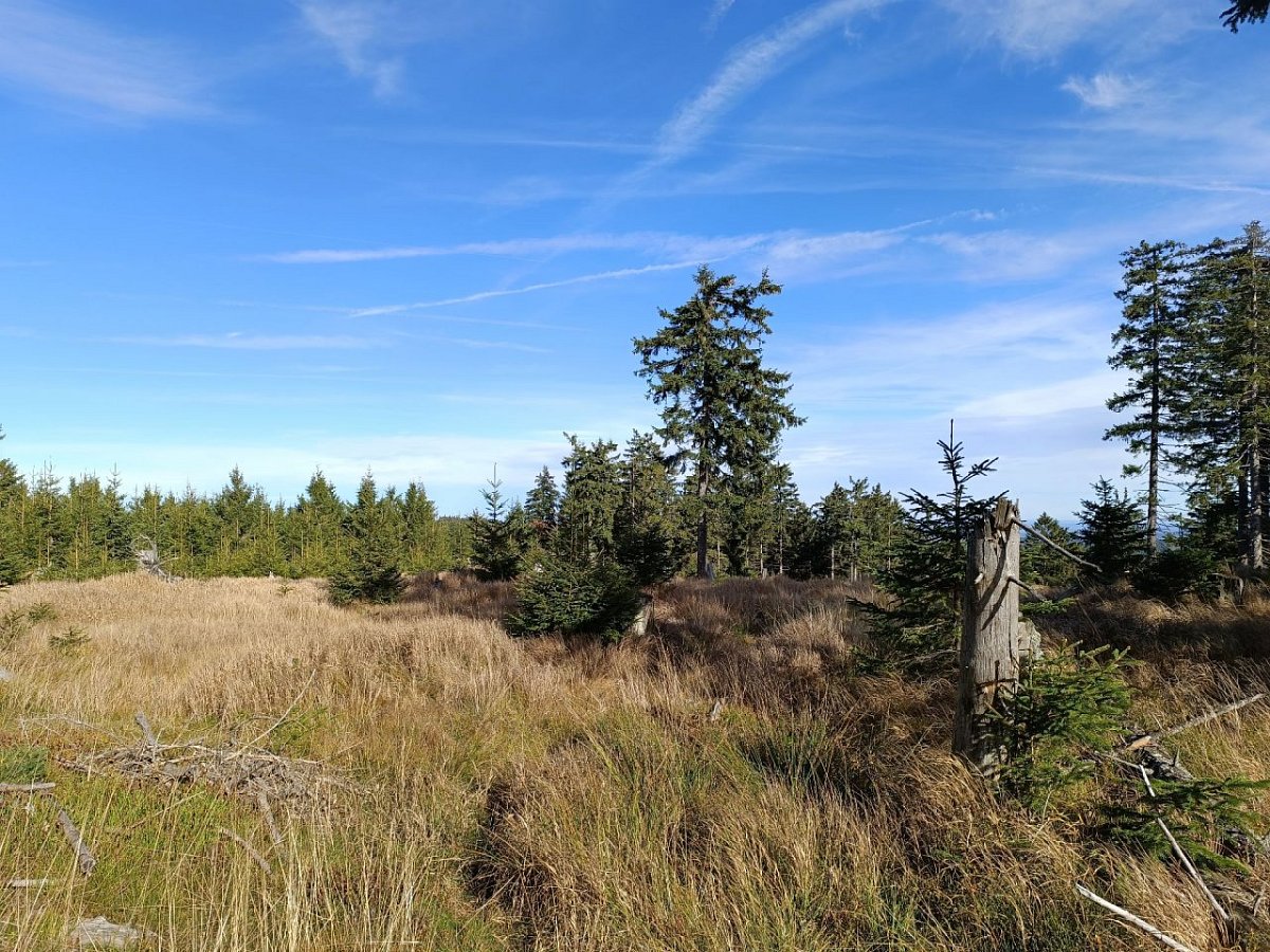 Habr (1203&nbsp;m)