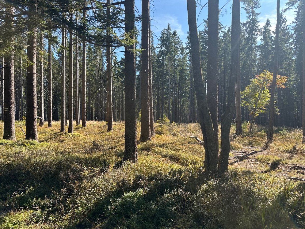 Výška (1080&nbsp;m)
