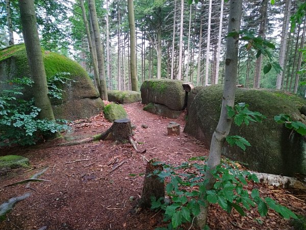 Vděčnost
