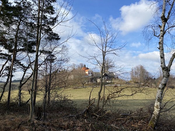 Houbička