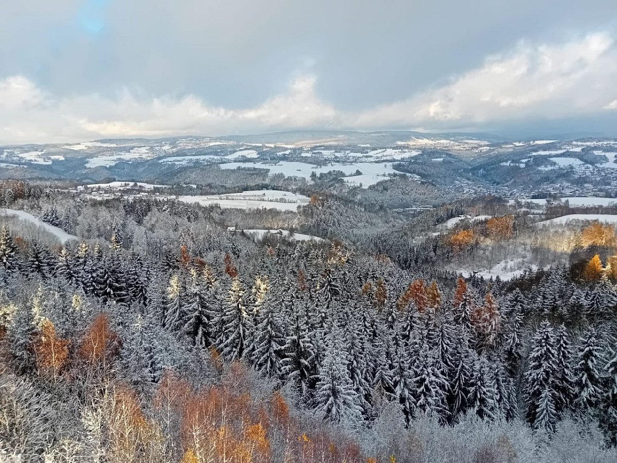 Hamštejnský vrch (610&nbsp;m)