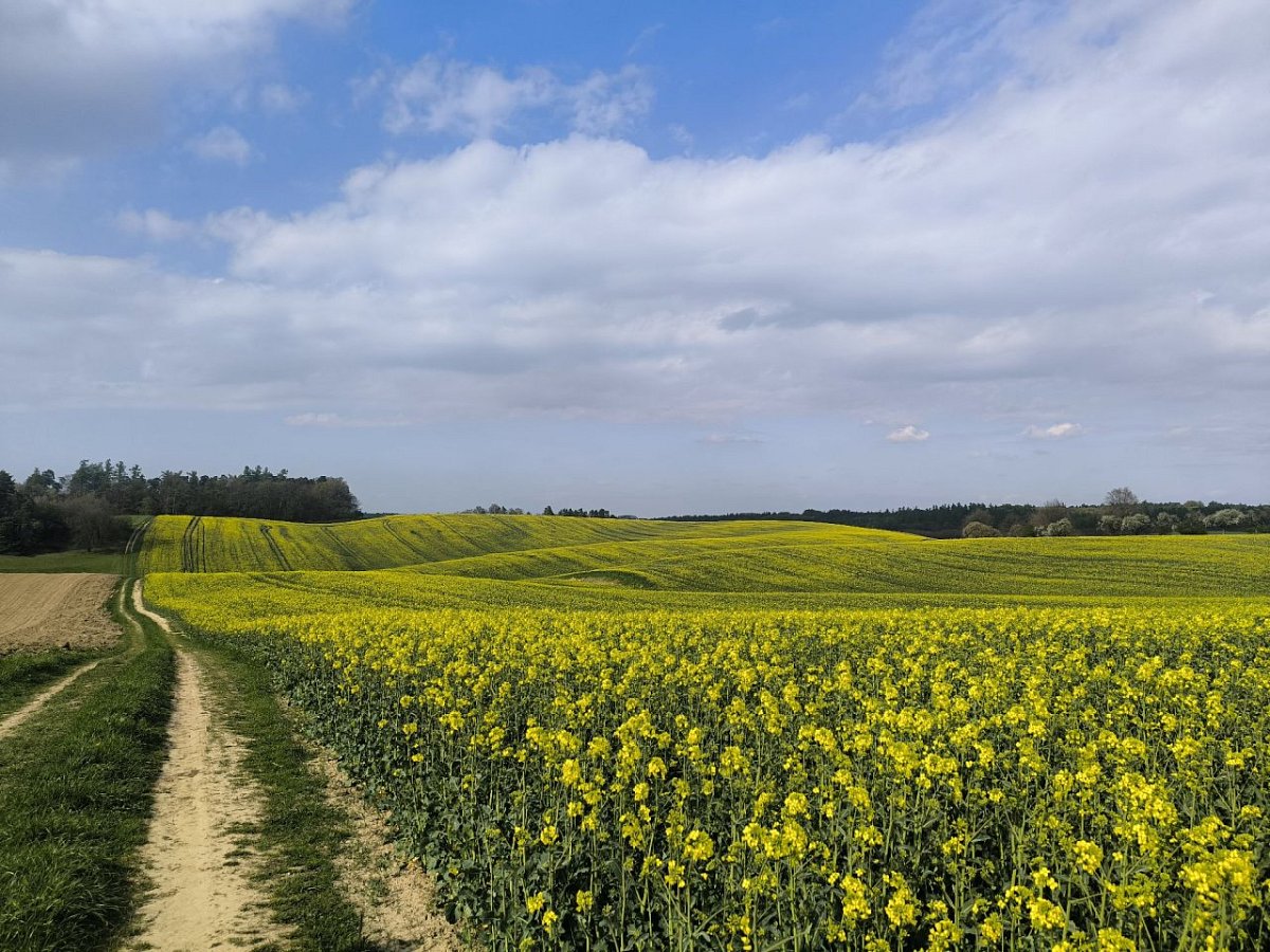 Na Píšťském (268&nbsp;m)