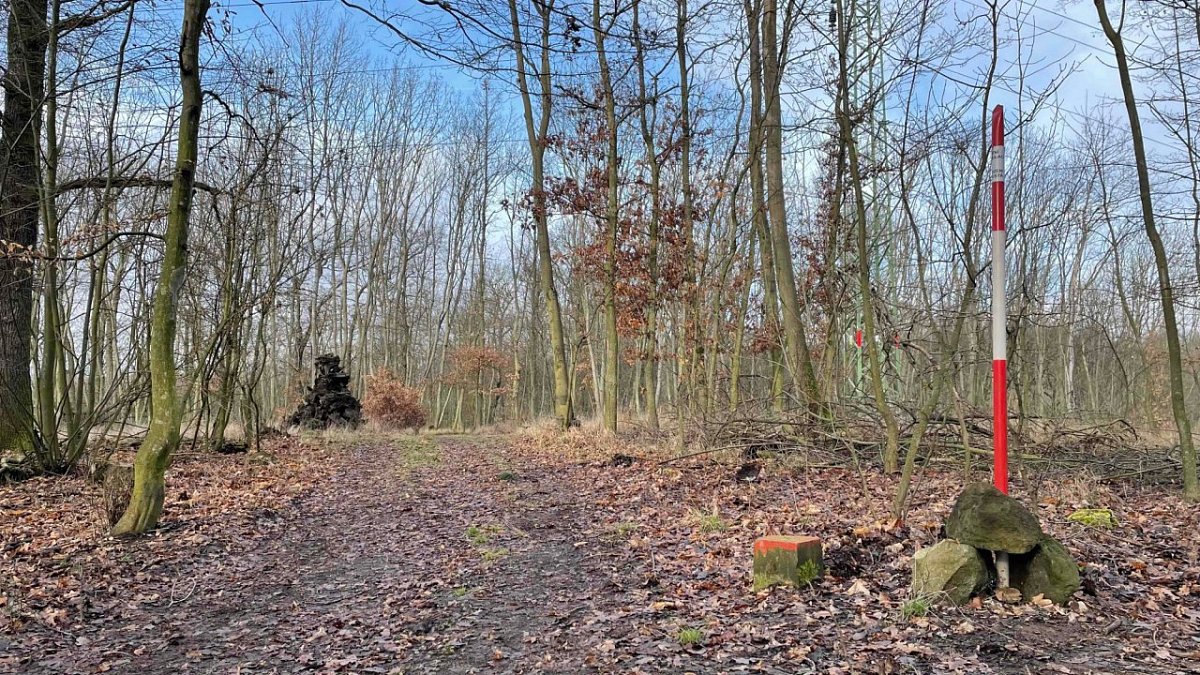 Čápův vrch (335&nbsp;m)