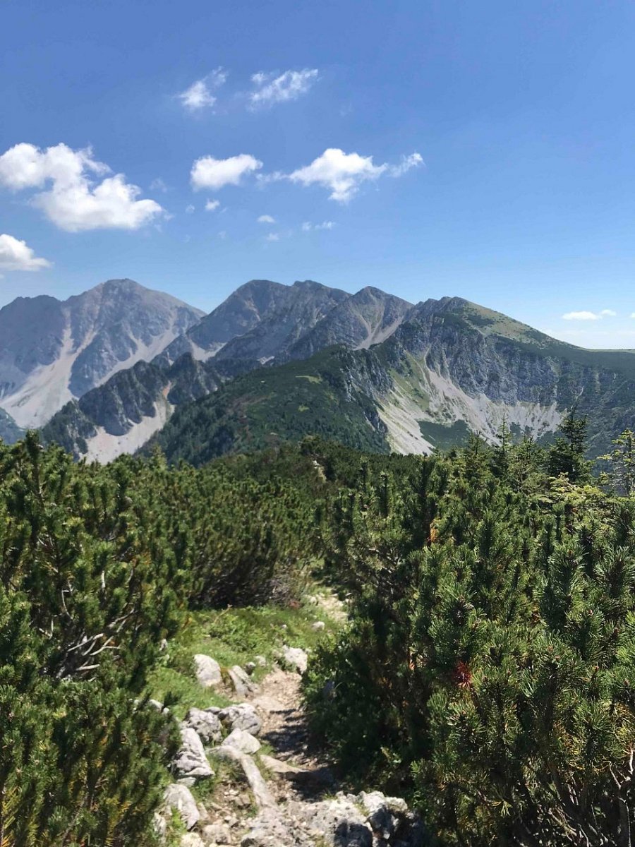 Bärentaler Kotschna / Veliki vrh (1944&nbsp;m)