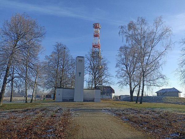 Mandava