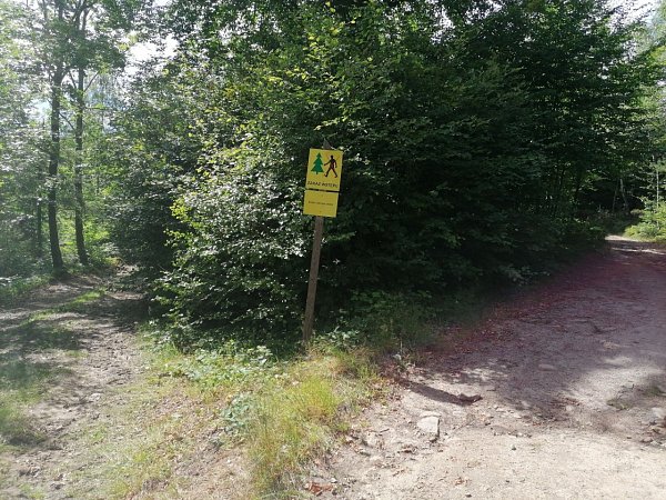 Roczenka