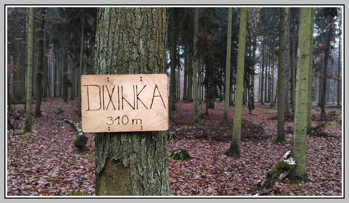 Dixinka (310&nbsp;m)
