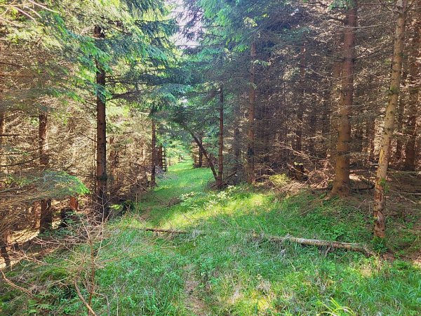 Ztracený vrch