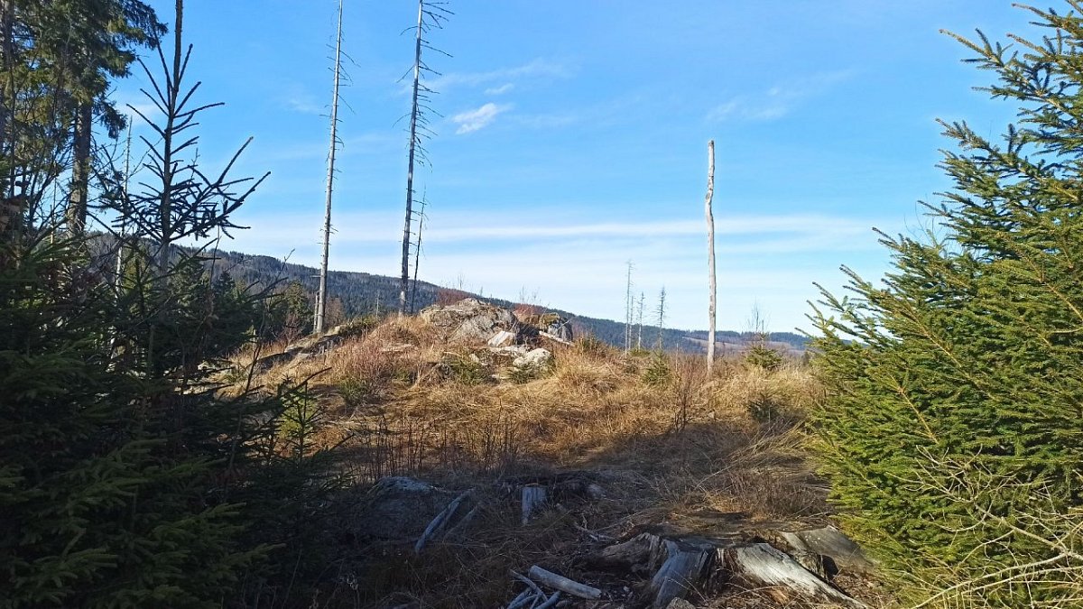 Kostelní vrch - J vrchol (1007&nbsp;m)