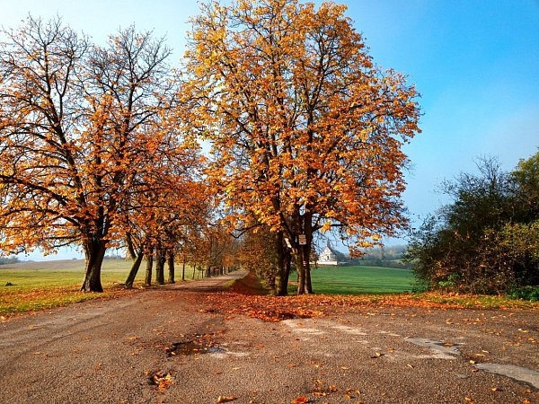 Veveří - hrad
