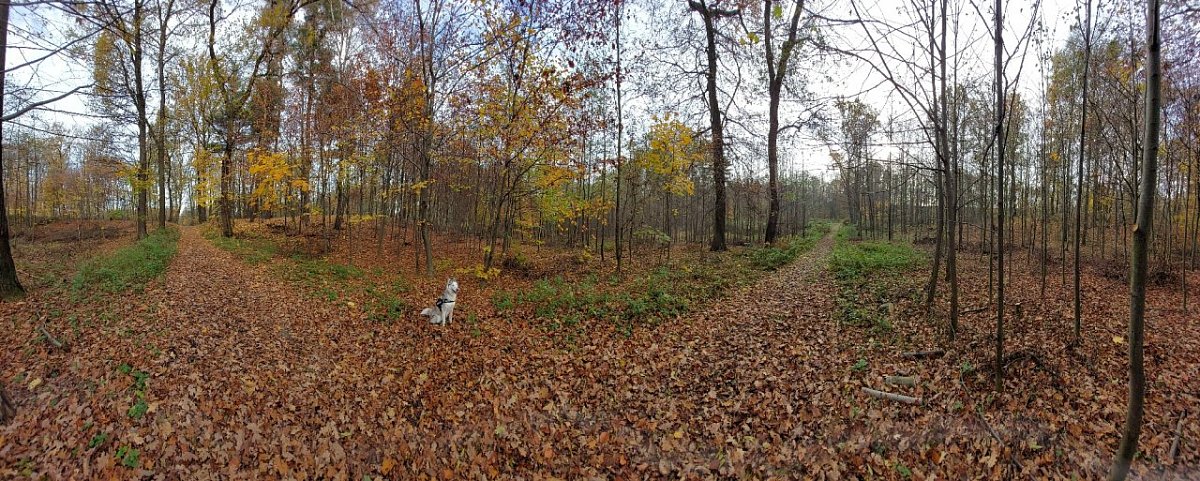 Baginec (224&nbsp;m)