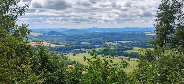 Ortel